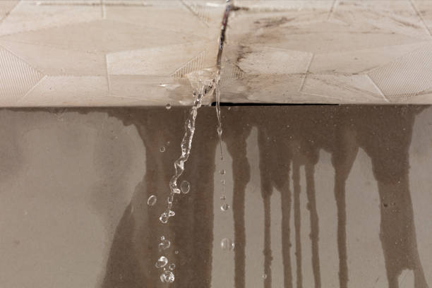 Professional Structural Drying technician working in Stryker, OH